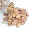 Broad Windsor Fava Bean Seeds