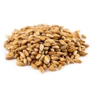 Organic Spelt Grain