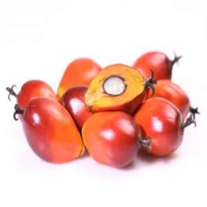Palm Nuts
