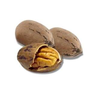 Pecan Nuts