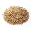 Canary Seeds