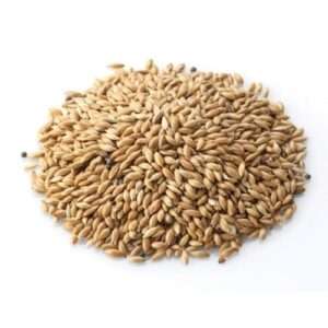 Canary Seeds