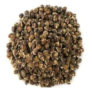 Moringa Seeds