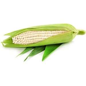 White Corn (Non GMO)